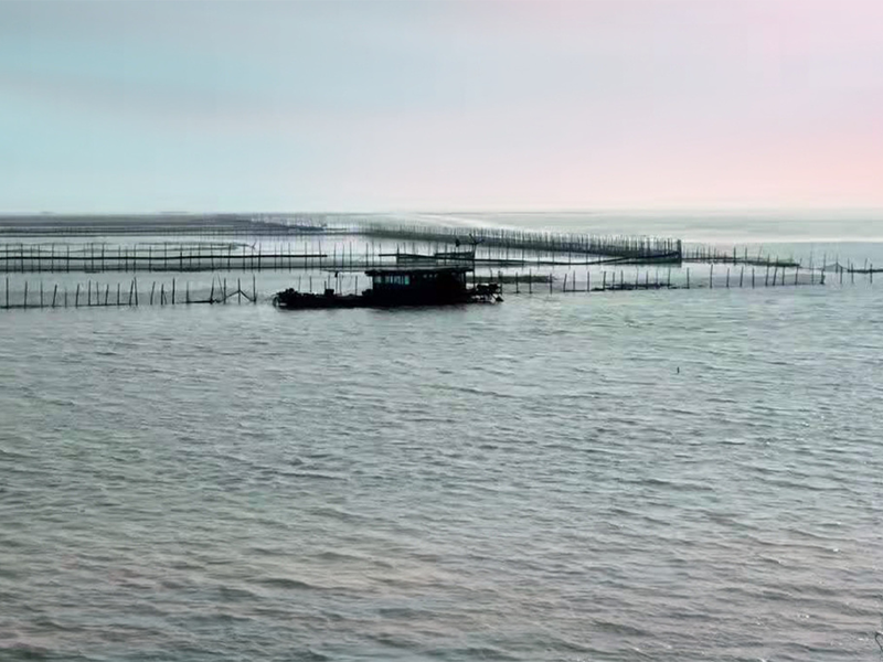 養(yǎng)魚水質(zhì)檢測(cè)項(xiàng)目