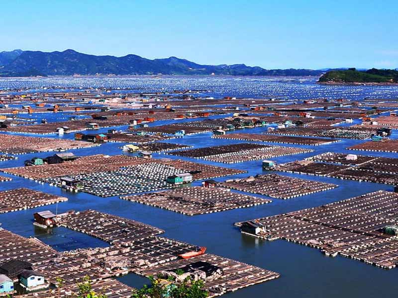 水產(chǎn)養(yǎng)殖二氧化氯使用方法