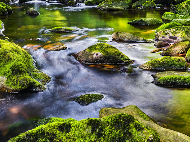 氨氮測定儀操作步驟（氨氮測定儀維護與清潔）