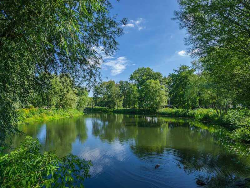 水體富營養(yǎng)化有哪些危害